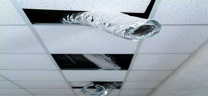 Our Air Duct Pet Hair Removal Services in Northampton, MA