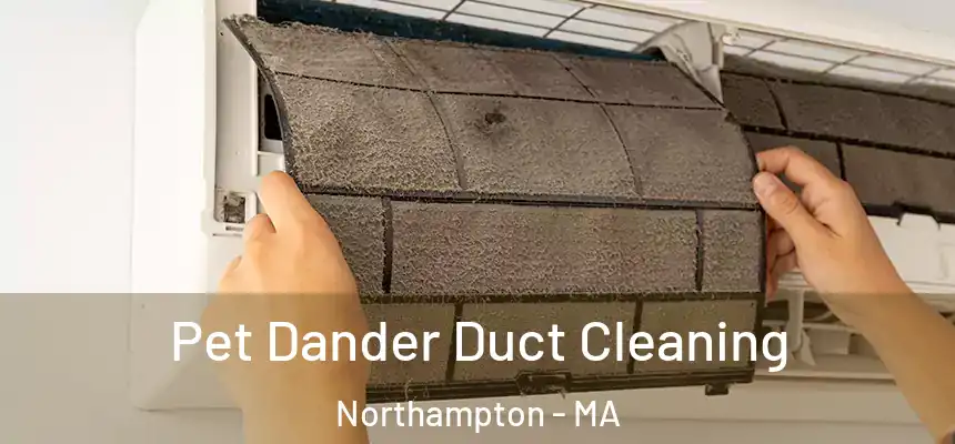 Pet Dander Duct Cleaning Northampton - MA