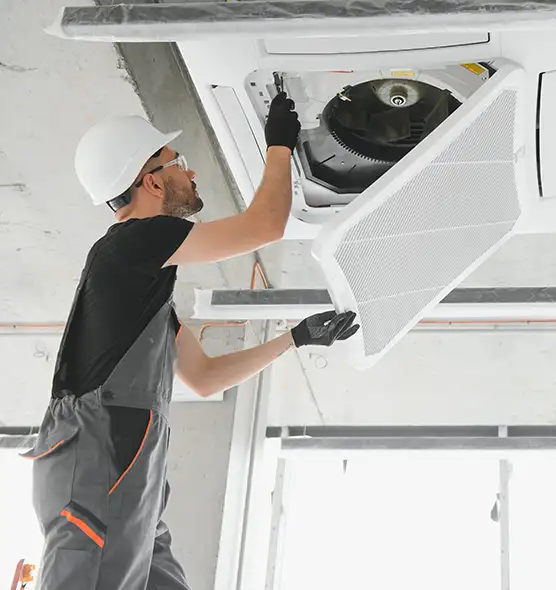 About Air Duct Rodent Removal in Northampton, MA