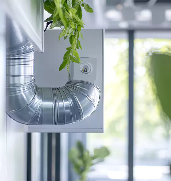 Professional Eco-Safe Dryer Vent Cleaning in Northampton, MA