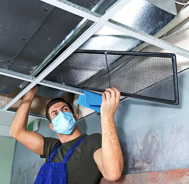 Why Homeowners & Businesses Trust Us in Northampton, MA?